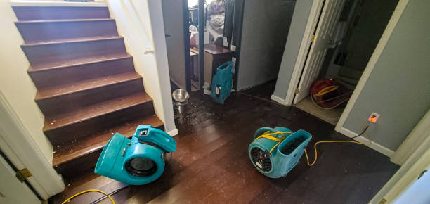 Best Water damage contractors near me  in Copeland, OK