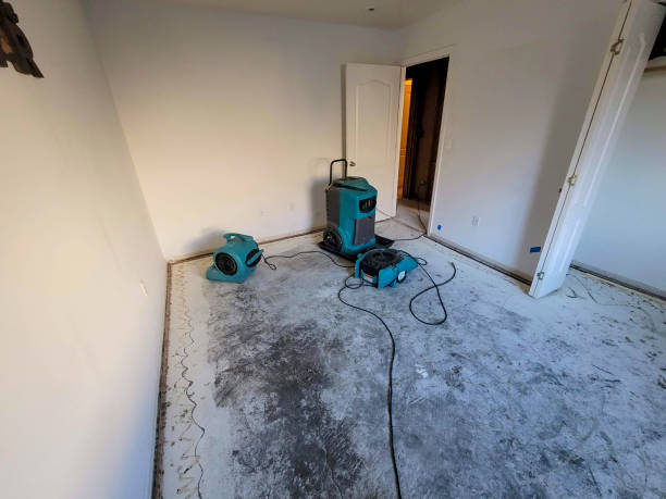 Best Water damage restoration near me  in Copeland, OK